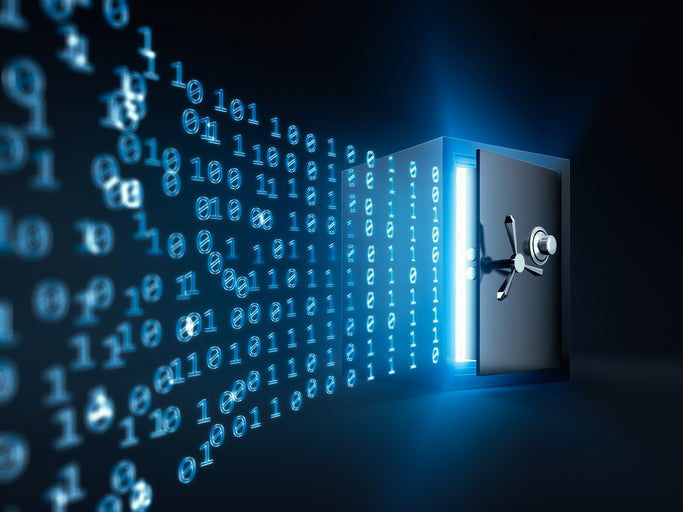 Custody & Asset Protection - Stock for six